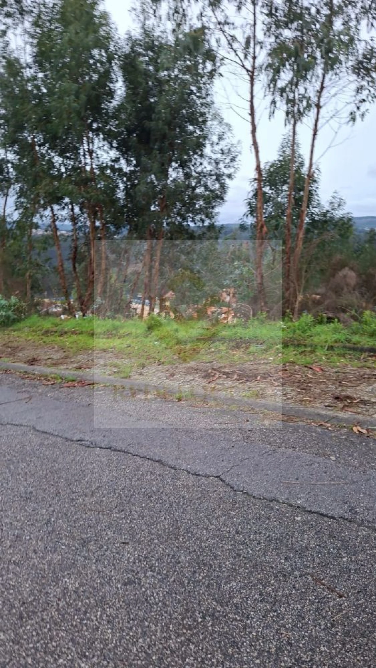Terreno para Venda em Canedo, Vale e Vila Maior Foto 7