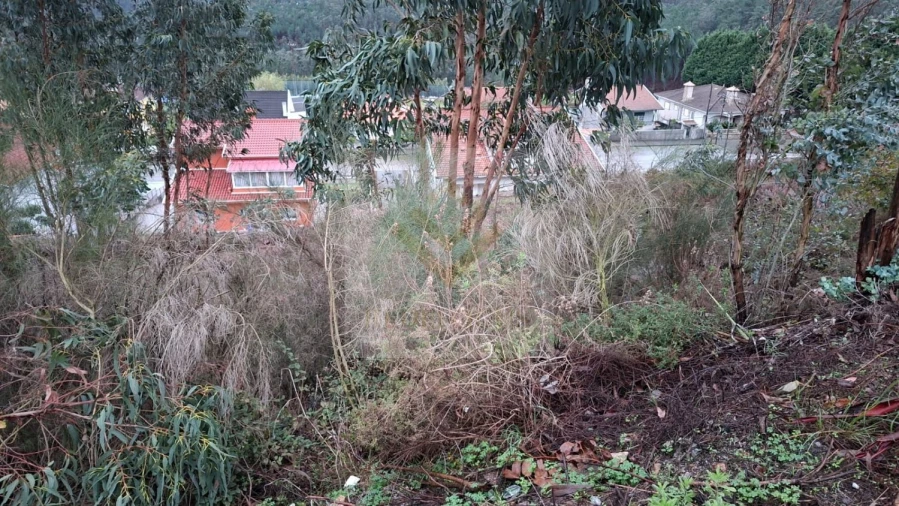 Terreno para Venda em Canedo, Vale e Vila Maior Foto 9