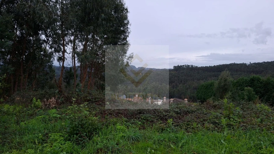 Terreno para Venda em Canedo, Vale e Vila Maior Foto 2