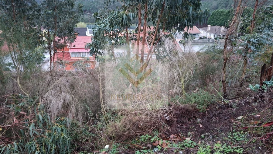 Terreno para Venda em Canedo, Vale e Vila Maior Foto 9