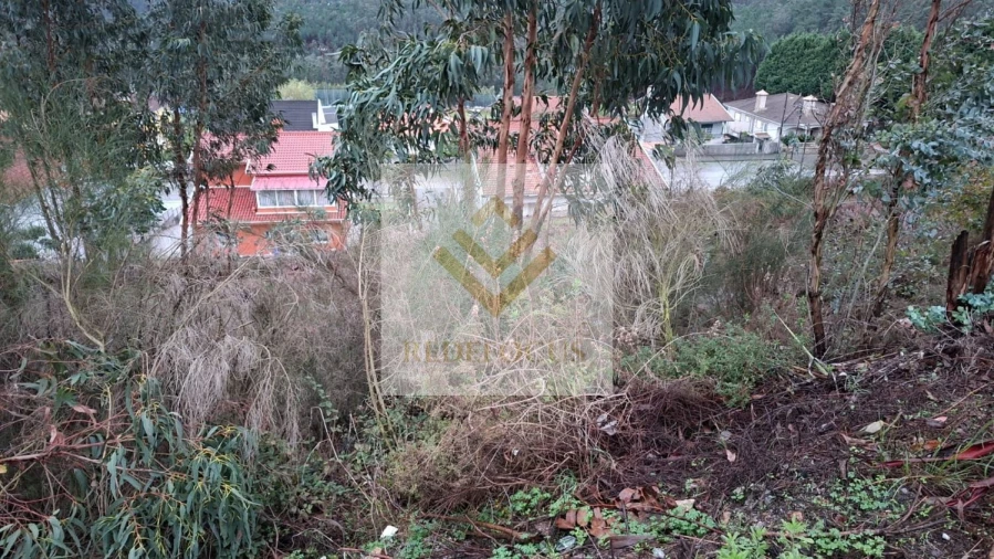 Terreno para Venda em Canedo, Vale e Vila Maior Foto 9