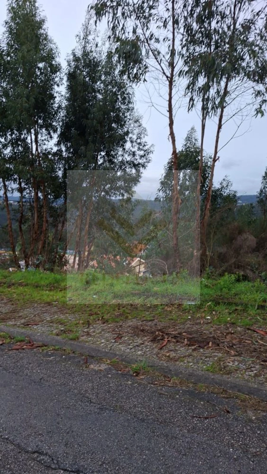Terreno para Venda em Canedo, Vale e Vila Maior Foto 11