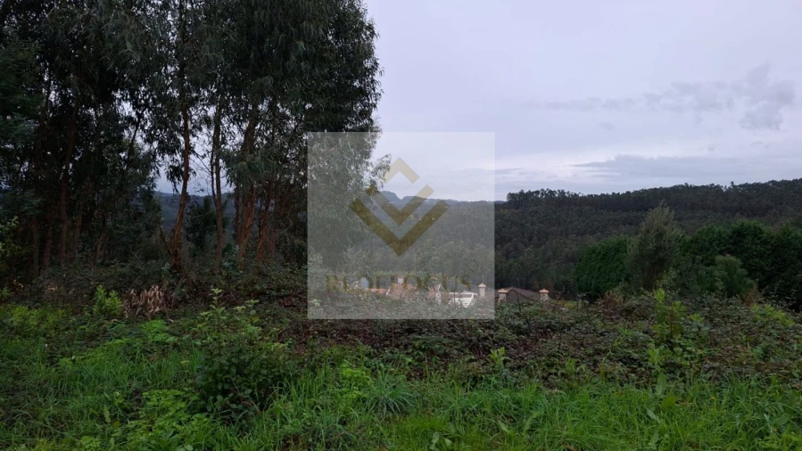 Terreno para Venda em Canedo, Vale e Vila Maior Foto 2
