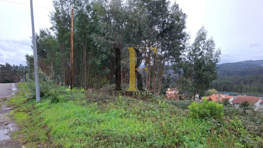 Terreno para Venda em Canedo, Vale e Vila Maior Foto 3