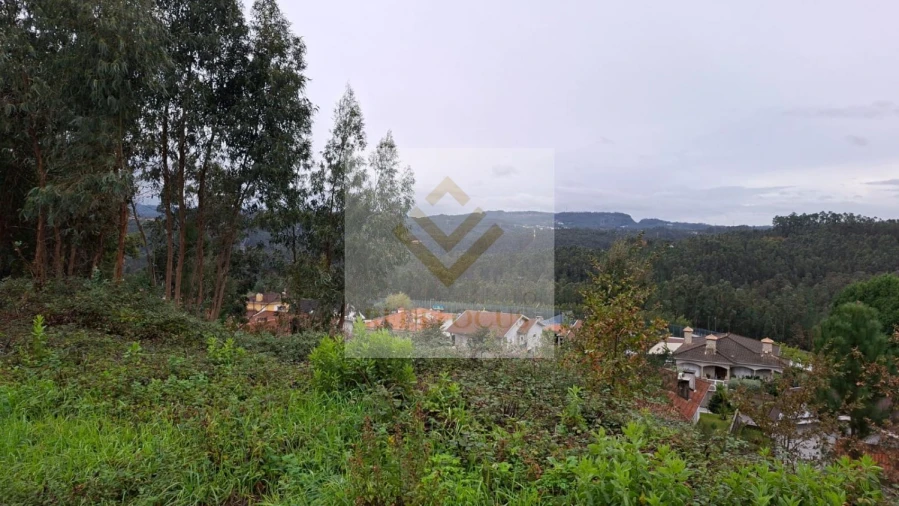 Terreno para Venda em Canedo, Vale e Vila Maior Foto 1