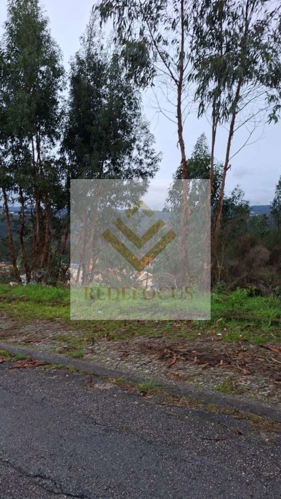 Terreno para Venda em Canedo, Vale e Vila Maior Foto 11