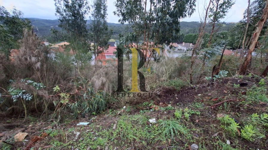 Terreno para Venda em Canedo, Vale e Vila Maior Foto 6