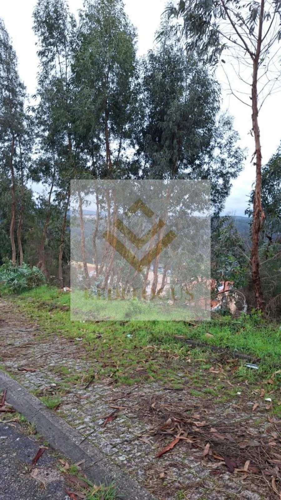Terreno para Venda em Canedo, Vale e Vila Maior Foto 10