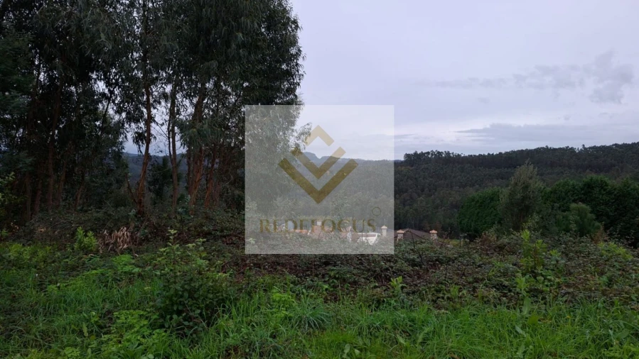 Terreno para Venda em Canedo, Vale e Vila Maior Foto 2