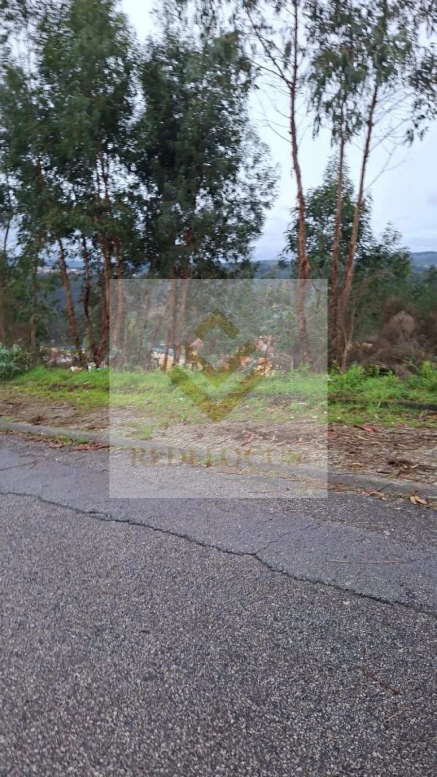 Terreno para Venda em Canedo, Vale e Vila Maior Foto 7