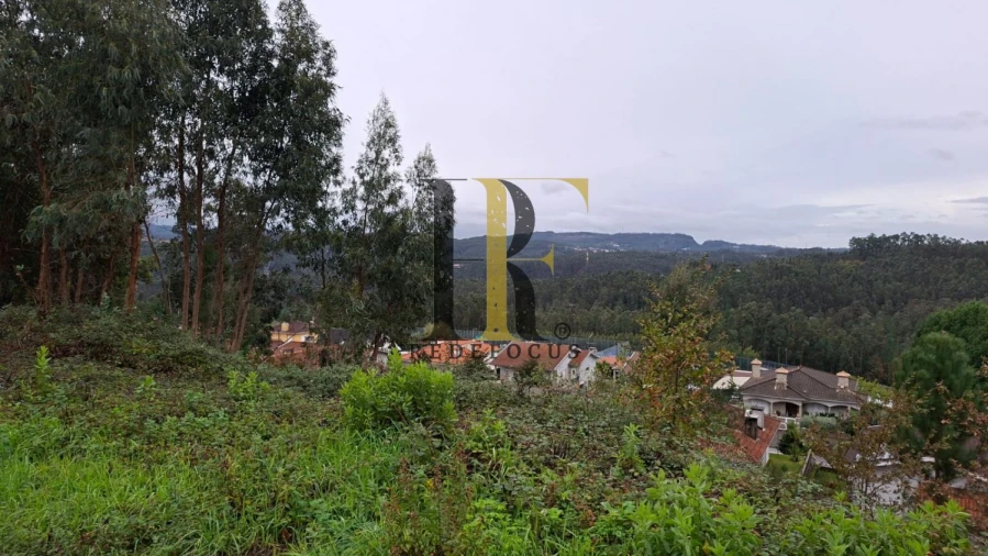 Terreno para Venda em Canedo, Vale e Vila Maior