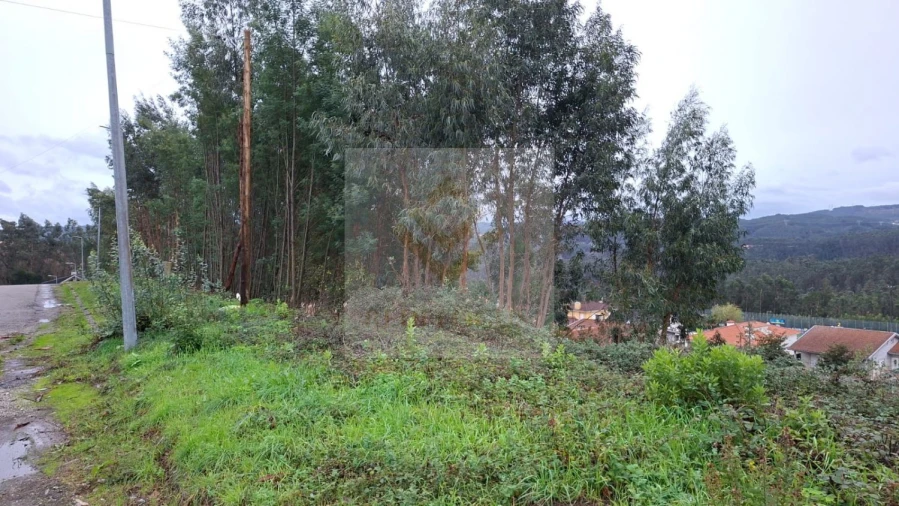 Terreno para Venda em Canedo, Vale e Vila Maior Foto 3