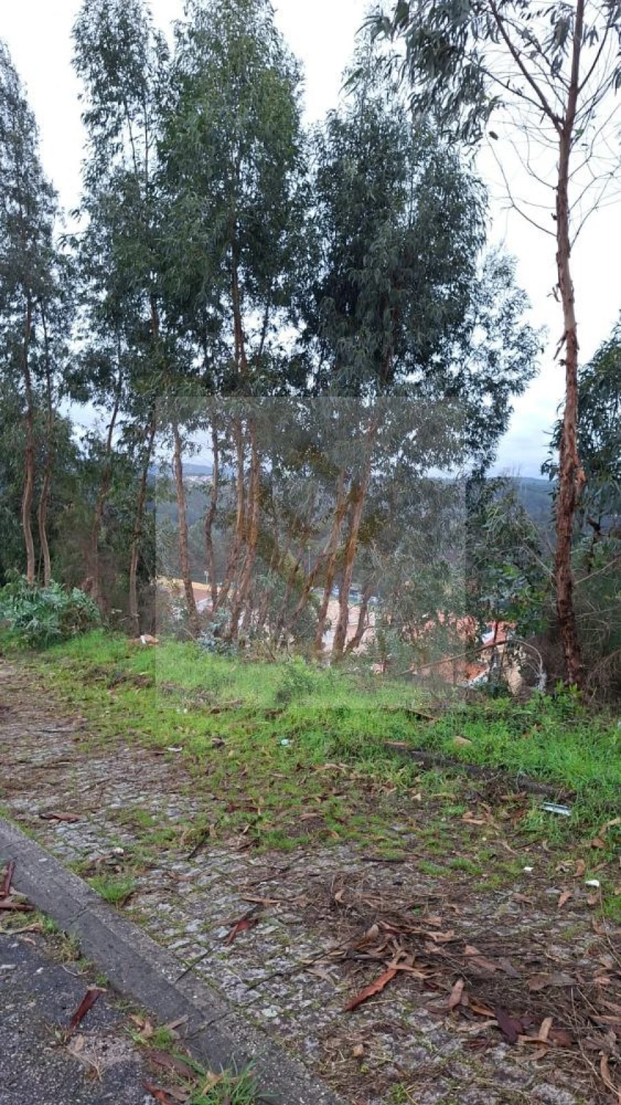 Terreno para Venda em Canedo, Vale e Vila Maior Foto 10