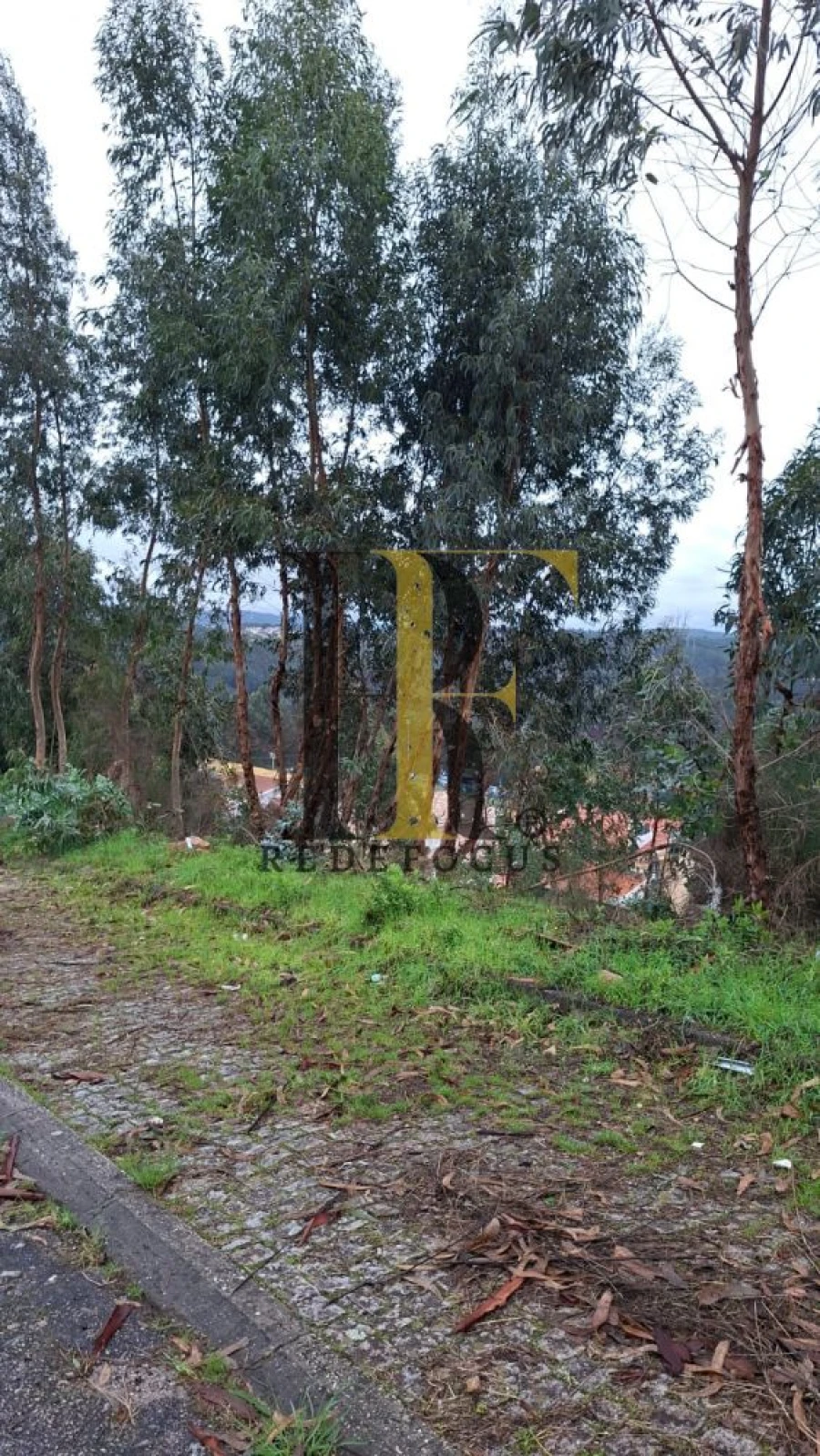 Terreno para Venda em Canedo, Vale e Vila Maior Foto 10