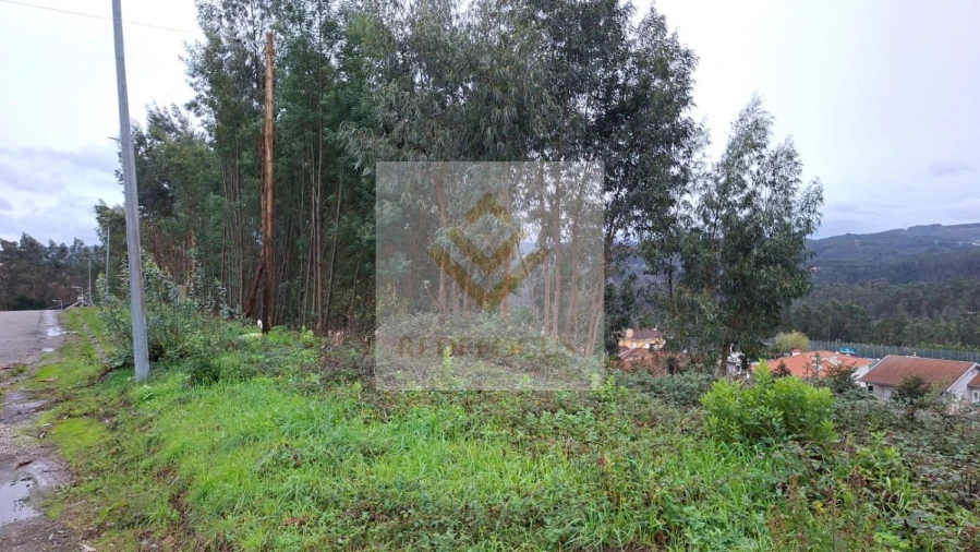 Terreno para Venda em Canedo, Vale e Vila Maior Foto 3