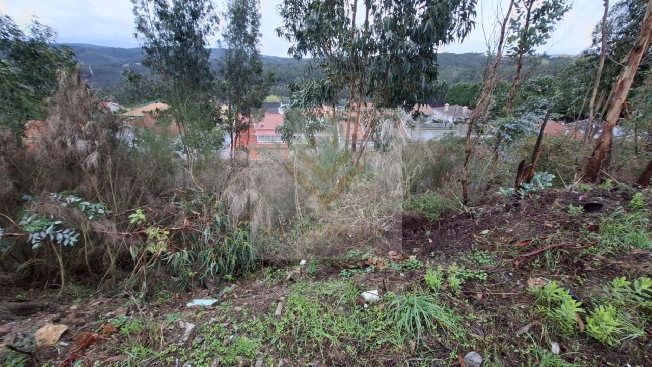 Terreno para Venda em Canedo, Vale e Vila Maior Foto 6