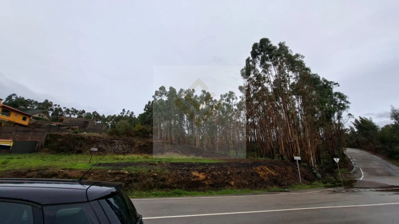 Terreno para Venda em Canedo, Vale e Vila Maior Foto 4