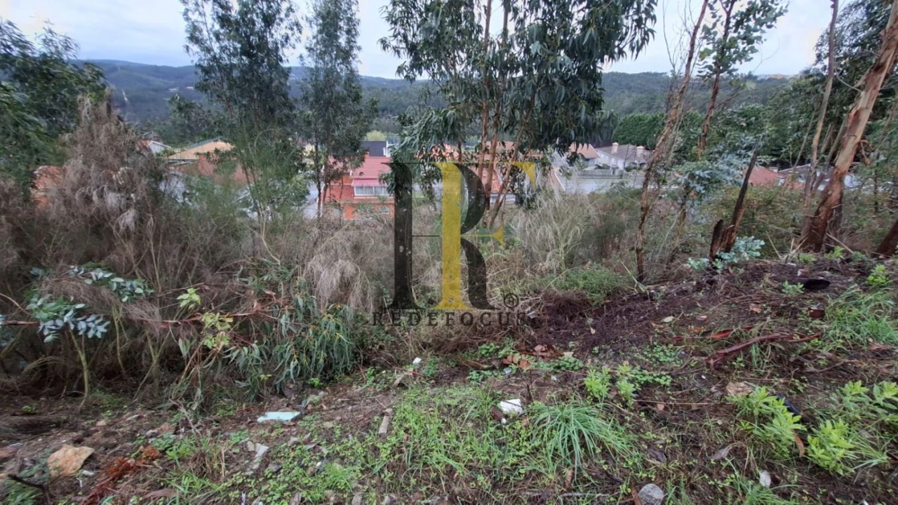 Terreno para Venda em Canedo, Vale e Vila Maior Foto 6
