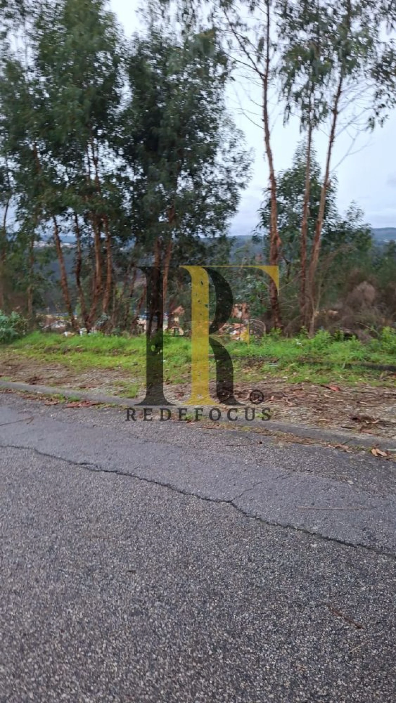 Terreno para Venda em Canedo, Vale e Vila Maior Foto 7