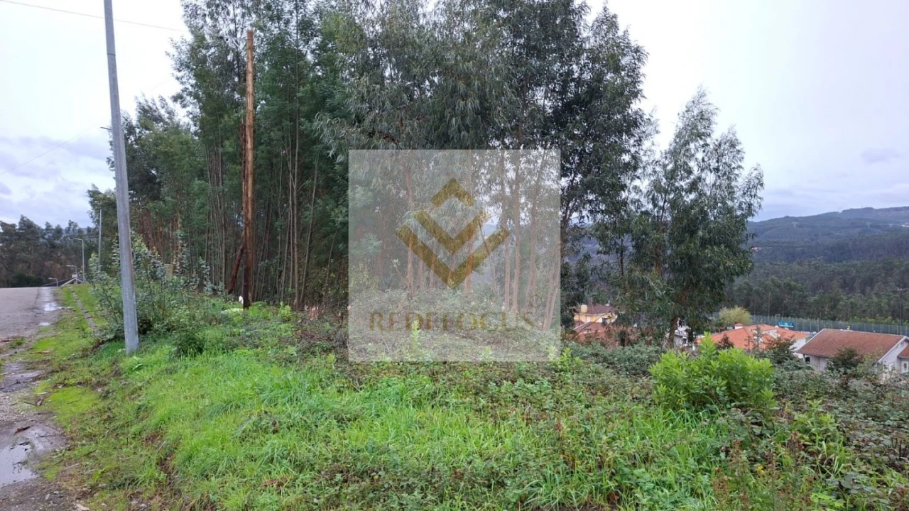 Terreno para Venda em Canedo, Vale e Vila Maior Foto 3