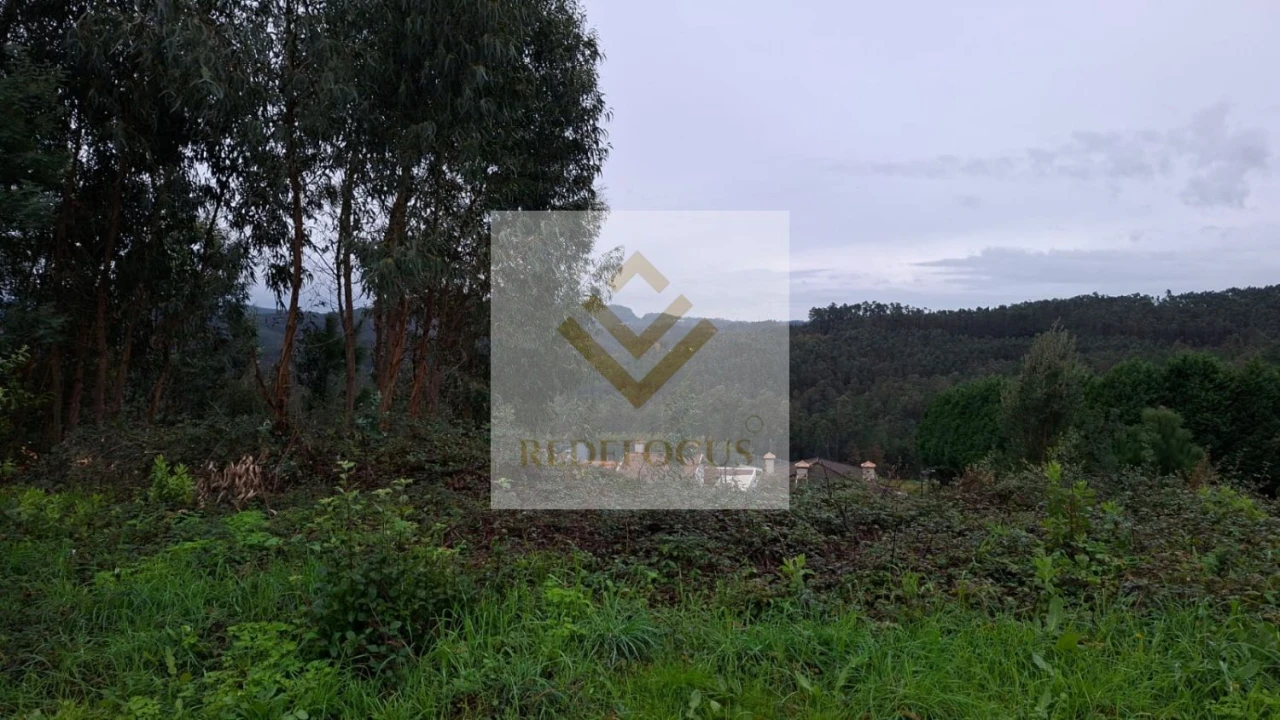 Terreno para Venda em Canedo, Vale e Vila Maior Foto 2