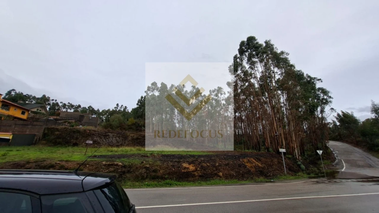 Terreno para Venda em Canedo, Vale e Vila Maior Foto 4