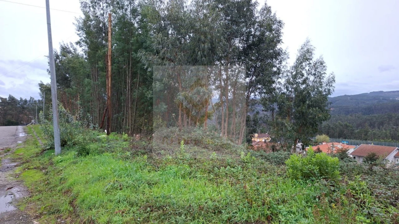 Terreno para Venda em Canedo, Vale e Vila Maior Foto 3