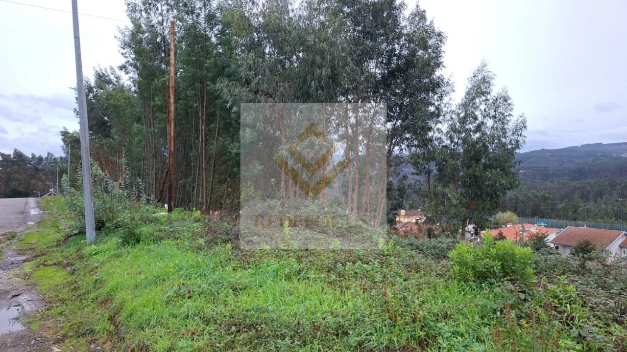 Terreno para Venda em Canedo, Vale e Vila Maior Foto 3