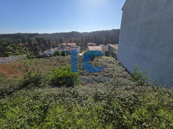 Terreno para Venda em Águeda e Borralha Foto 5