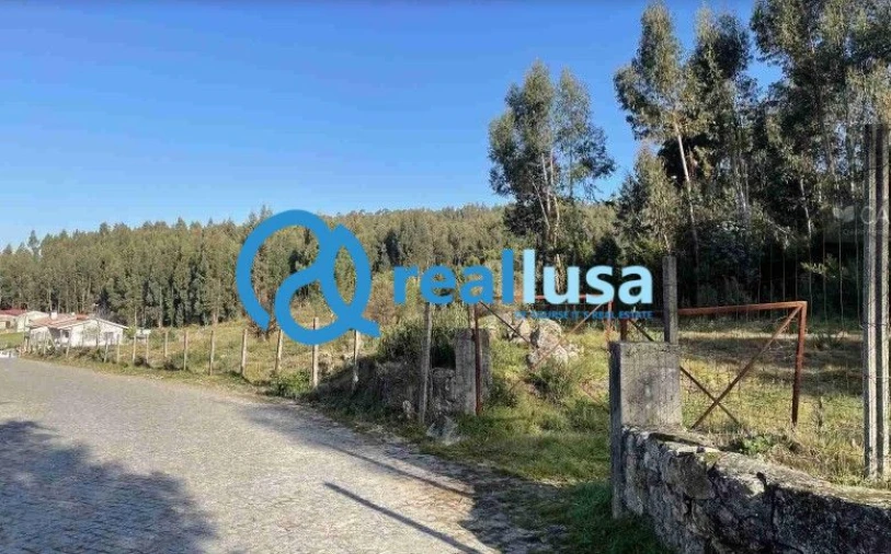 Terreno para Venda em Termas de São Vicente Foto 4