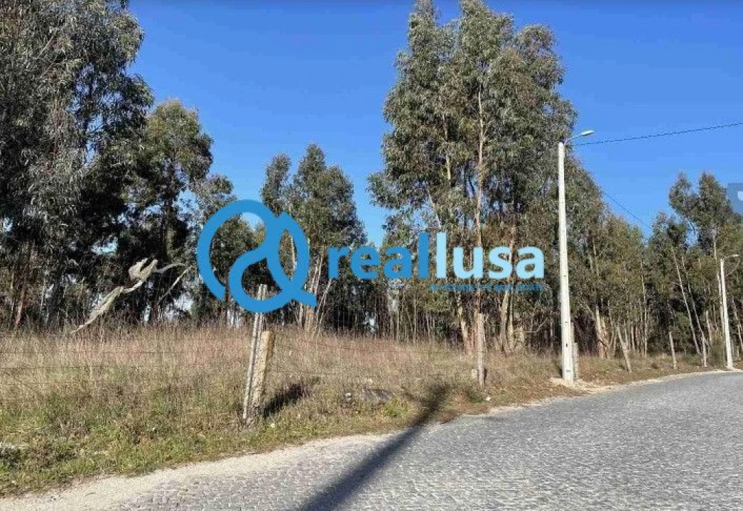 Terreno para Venda em Termas de São Vicente Foto 1