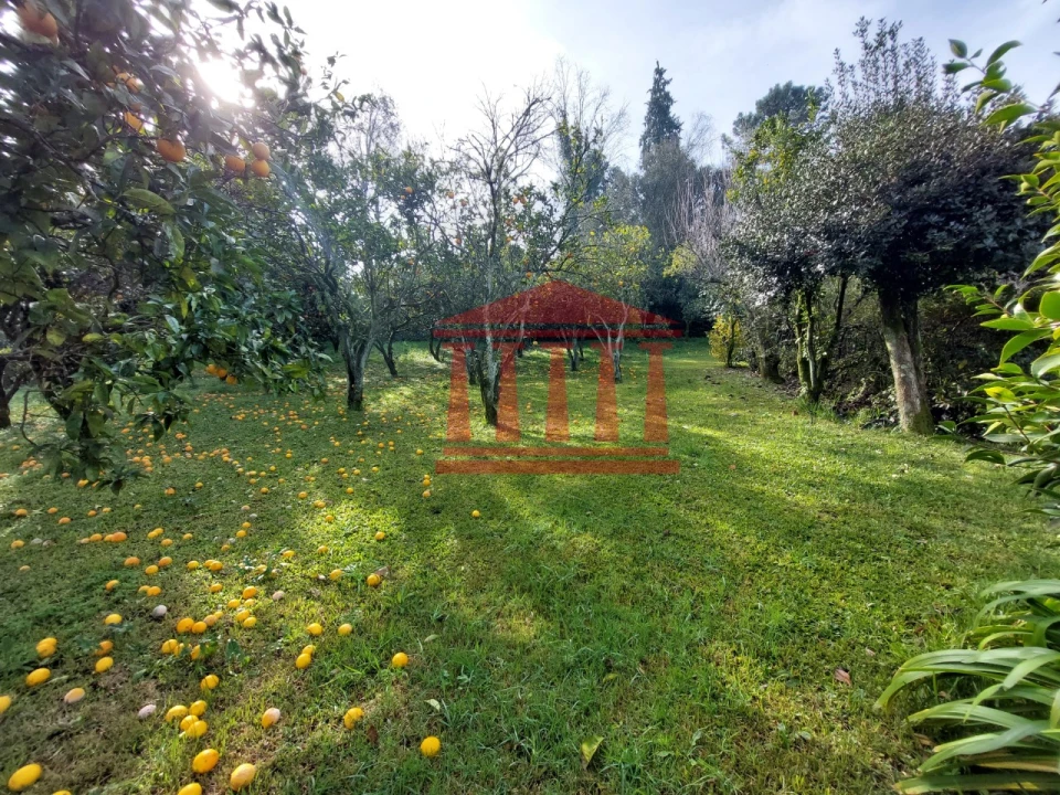 Quinta T4 para Venda em Barcelinhos Foto 56