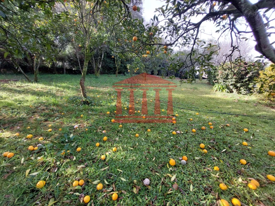 Quinta T4 para Venda em Barcelinhos Foto 57