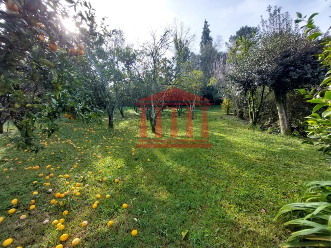 Quinta T4 para Venda em Barcelinhos Foto 56