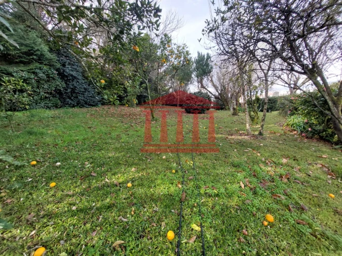 Quinta T4 para Venda em Barcelinhos Foto 58