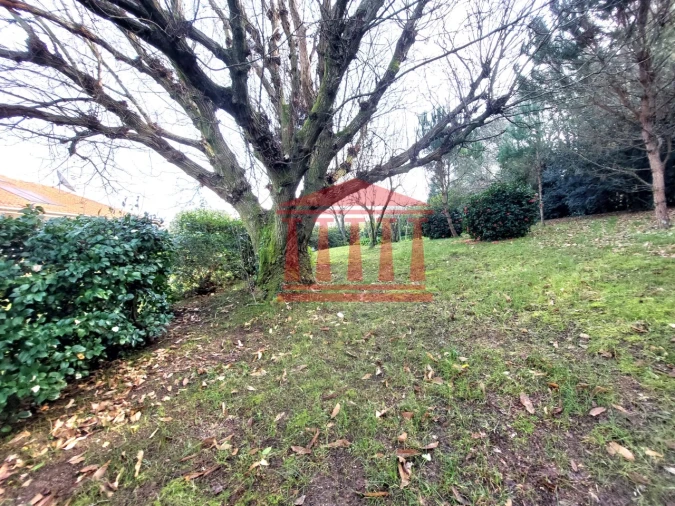 Quinta T4 para Venda em Barcelinhos Foto 62