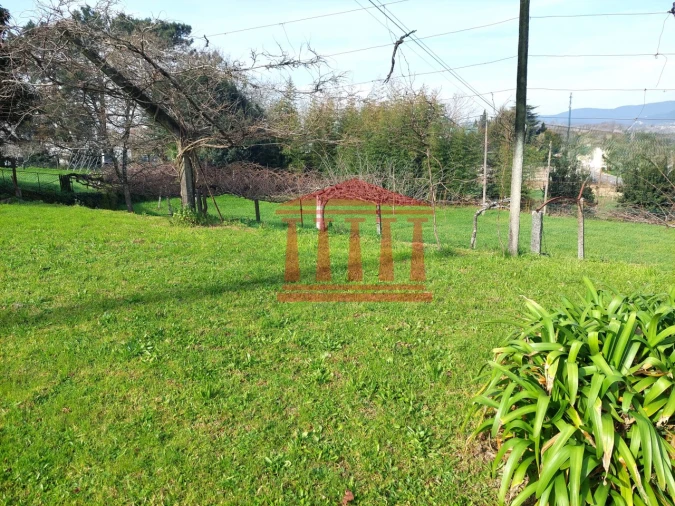 Quinta T4 para Venda em Barcelinhos Foto 67