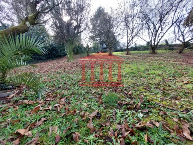 Quinta T4 para Venda em Barcelinhos Foto 61