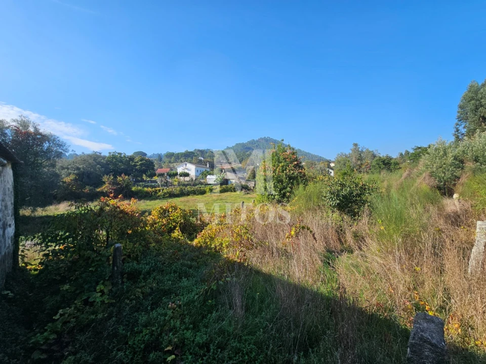 Quinta T3 para Venda em Arcozelo Foto 5