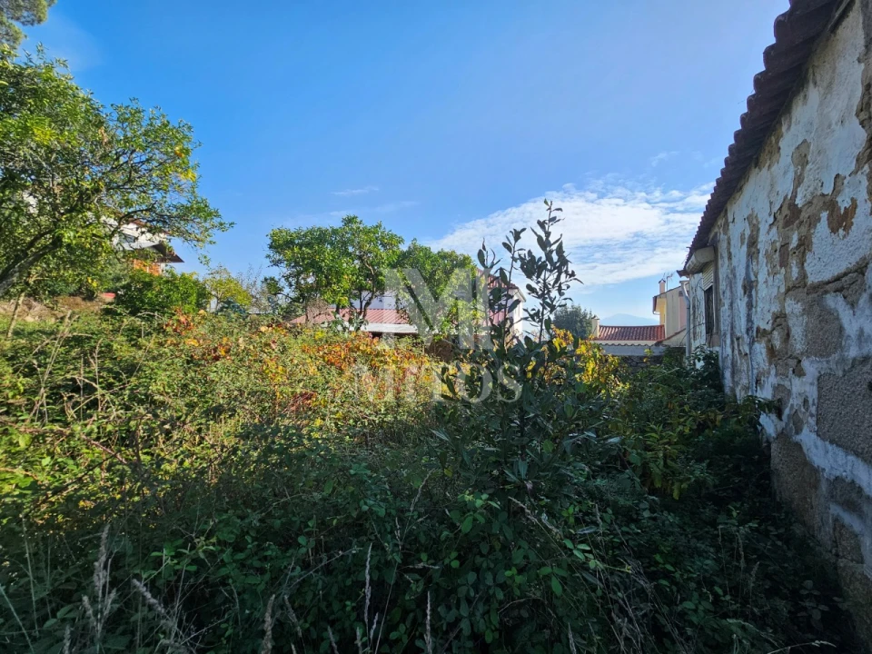 Quinta T3 para Venda em Arcozelo Foto 6