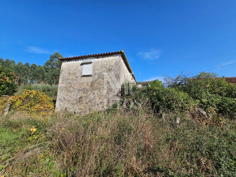 Quinta T3 para Venda em Arcozelo Foto 7