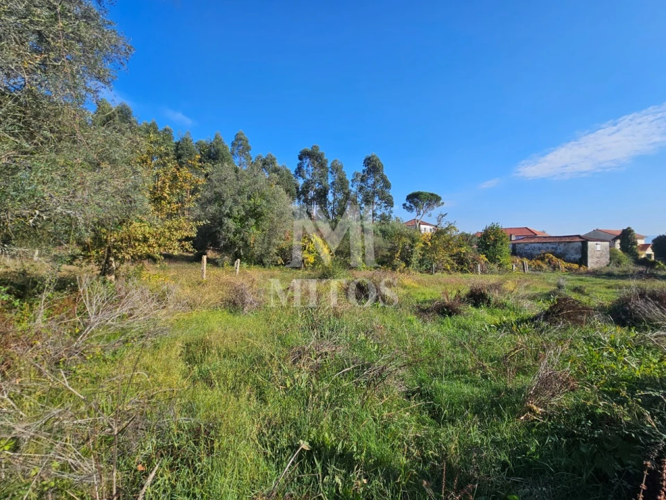 Quinta T3 para Venda em Arcozelo Foto 9