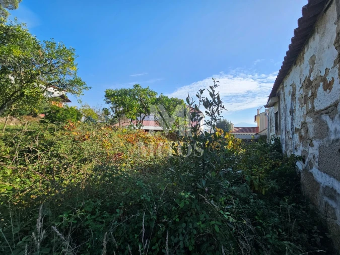 Quinta T3 para Venda em Arcozelo Foto 6