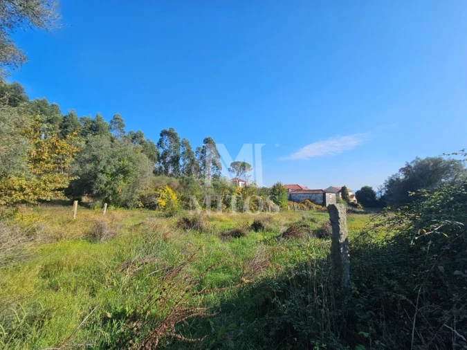Quinta T3 para Venda em Arcozelo Foto 10