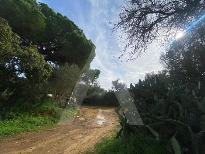 Terreno para Venda em Almancil Foto 11