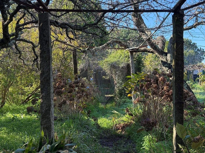 Moradia T6 para Venda em Moreira Foto 17