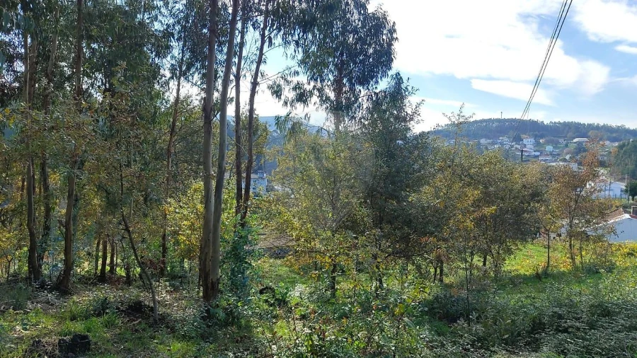 Moradia T2 para Venda em Macieira de Cambra Foto 11