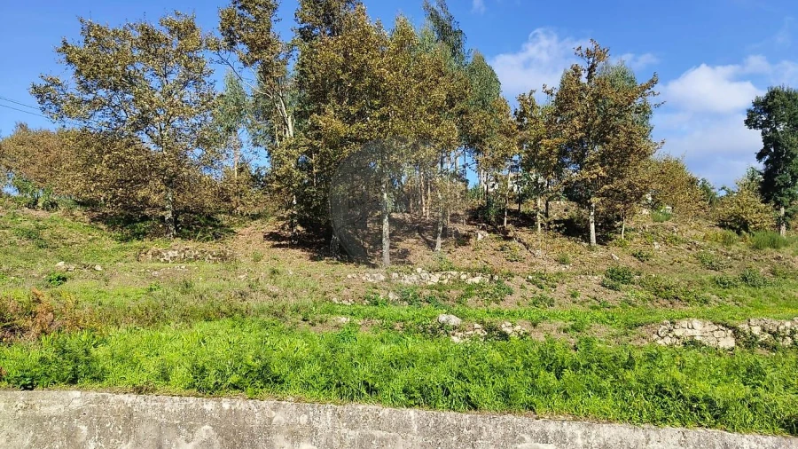 Moradia T2 para Venda em Macieira de Cambra Foto 5