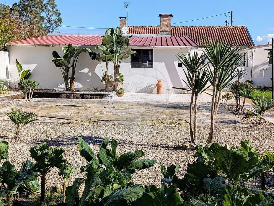 Moradia T2 para Venda em Valega Foto 38