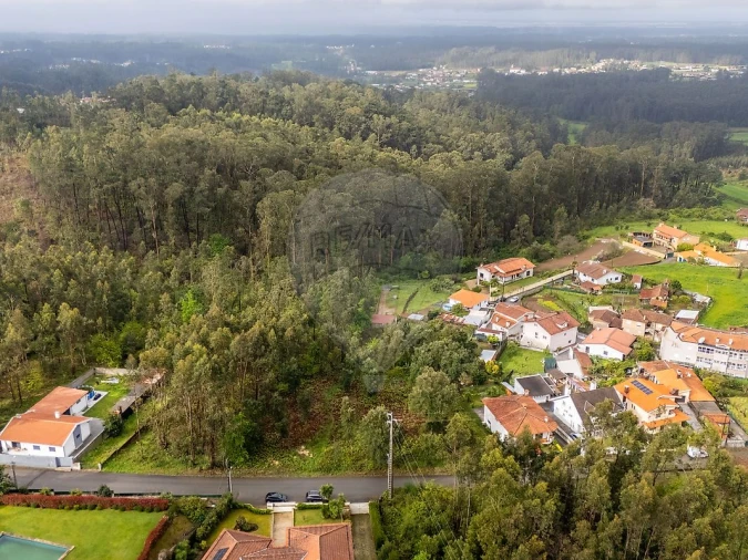 Terreno para Venda em Vila de Cucujães Foto 9